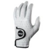 Ping Tour Golf Glove 34723